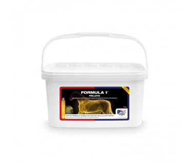 Formula 1